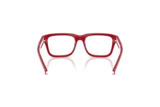 Rear view Dolce & Gabbana DX5008 (3088)