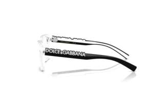 Side view Dolce & Gabbana DX5008 (3133)