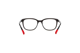 Rear view Dolce & Gabbana DX5094 (3160)