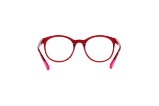 Rear view Dolce & Gabbana DX5095 (1551)