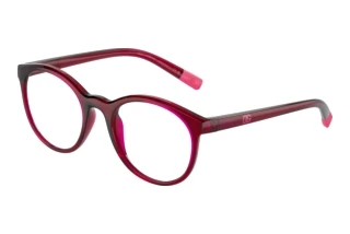 Front view Dolce & Gabbana DX5095 (1551)