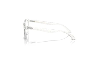 Side view Dolce & Gabbana DX5096 (3108)