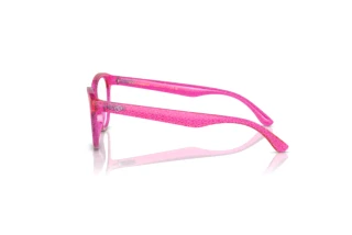 Side view Dolce & Gabbana DX5096 (3351)
