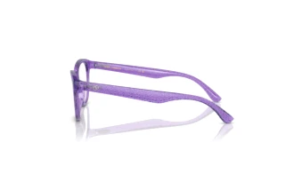 Side view Dolce & Gabbana DX5096 (3353)