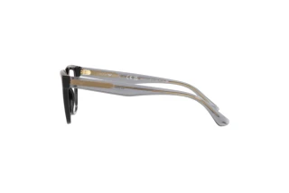 Side view Emporio Armani EA3208 (5017)