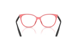 Rear view Emporio Armani EA3249U (6198)
