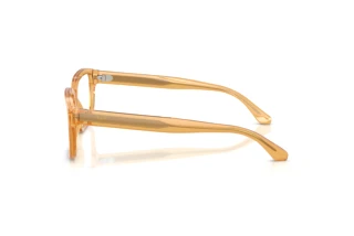 Side view Emporio Armani EA3255 (6246)