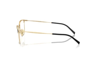 Side view Giorgio Armani AR5143 (3013)