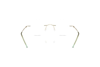 Rear view Giorgio Armani AR5147 (3002)
