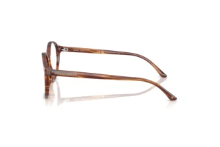 Side view Giorgio Armani AR7004 (6162)