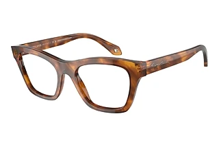 Front view Giorgio Armani AR7240 (5988)