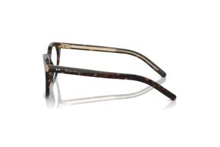 Side view Giorgio Armani AR7251 (5879)