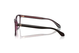 Side view Giorgio Armani AR7255 (6088)