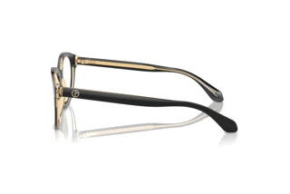Side view Giorgio Armani AR7256 (6084)