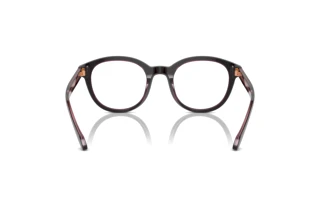 Rear view Giorgio Armani AR7256 (6088)