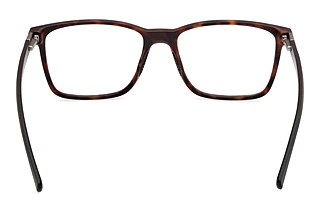 Rear view Harley-Davidson HD50095 (052)