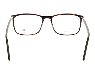 Rear view Jaguar 31029 (8940)