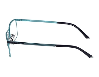 Side view Jaguar 33629 (3100)