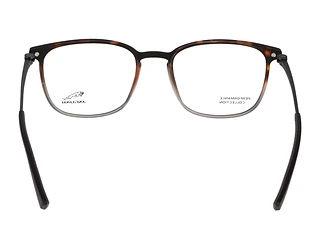 Rear view Jaguar 36831 (5100)