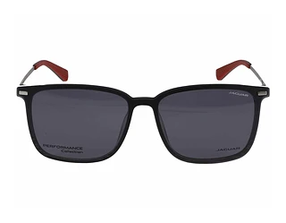 Side view Jaguar 36834 (6100)