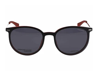 Side view Jaguar 36835 (2100)