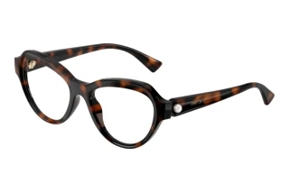Front view Jimmy Choo JC1002HU (5002)
