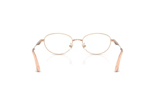Rear view Jimmy Choo JC2009D (3008)