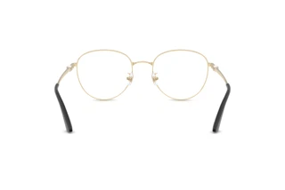 Rear view Jimmy Choo JC2013HD (3010)