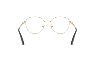 Rear view Jimmy Choo JC2013HD (3022)
