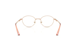 Rear view Jimmy Choo JC2018JD (3008)