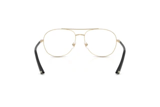 Rear view Jimmy Choo JC2021 (3006)