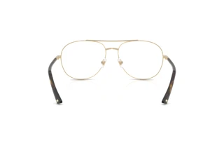 Rear view Jimmy Choo JC2021 (3017)