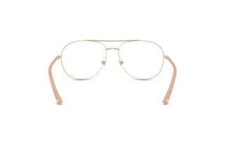 Rear view Jimmy Choo JC2021 (3027)