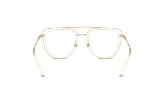 Rear view Jimmy Choo JC2024B (3027)