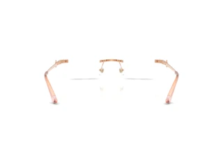 Rear view Jimmy Choo JC2025BD (3008)