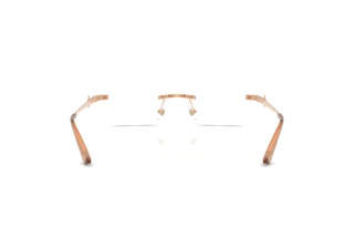 Rear view Jimmy Choo JC2025BD (3029)