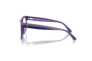 Side view Jimmy Choo JC3006U (5050)