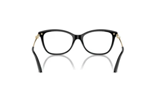 Rear view Jimmy Choo JC3007HB (5000)