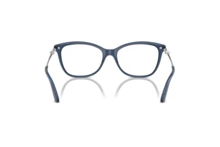 Rear view Jimmy Choo JC3007HB (5035)