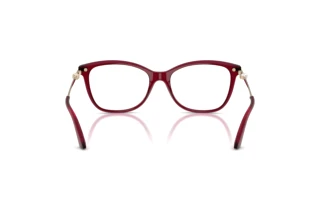 Rear view Jimmy Choo JC3007HB (5062)