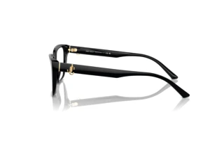 Side view Jimmy Choo JC3008 (5000)