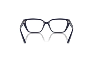 Rear view Jimmy Choo JC3008 (5016)