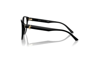 Side view Jimmy Choo JC3009 (5000)