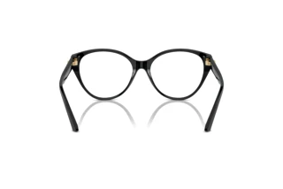 Rear view Jimmy Choo JC3009 (5000)