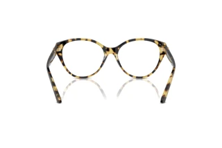 Rear view Jimmy Choo JC3009 (5004)