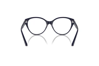 Rear view Jimmy Choo JC3009 (5016)