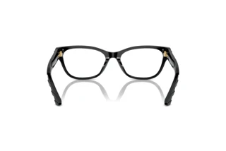 Rear view Jimmy Choo JC3010U (5000)