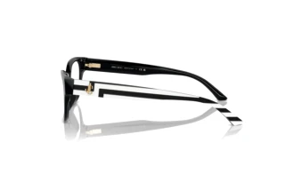 Side view Jimmy Choo JC3010U (5017)