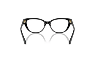 Rear view Jimmy Choo JC3011 (5000)