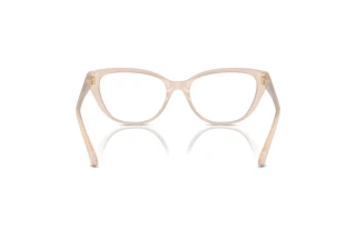 Rear view Jimmy Choo JC3011 (5025)